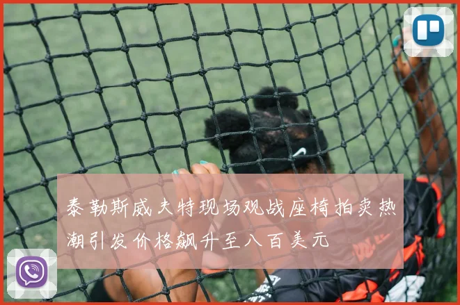 泰勒斯威夫特现场观战座椅拍卖热潮引发价格飙升至八百美元